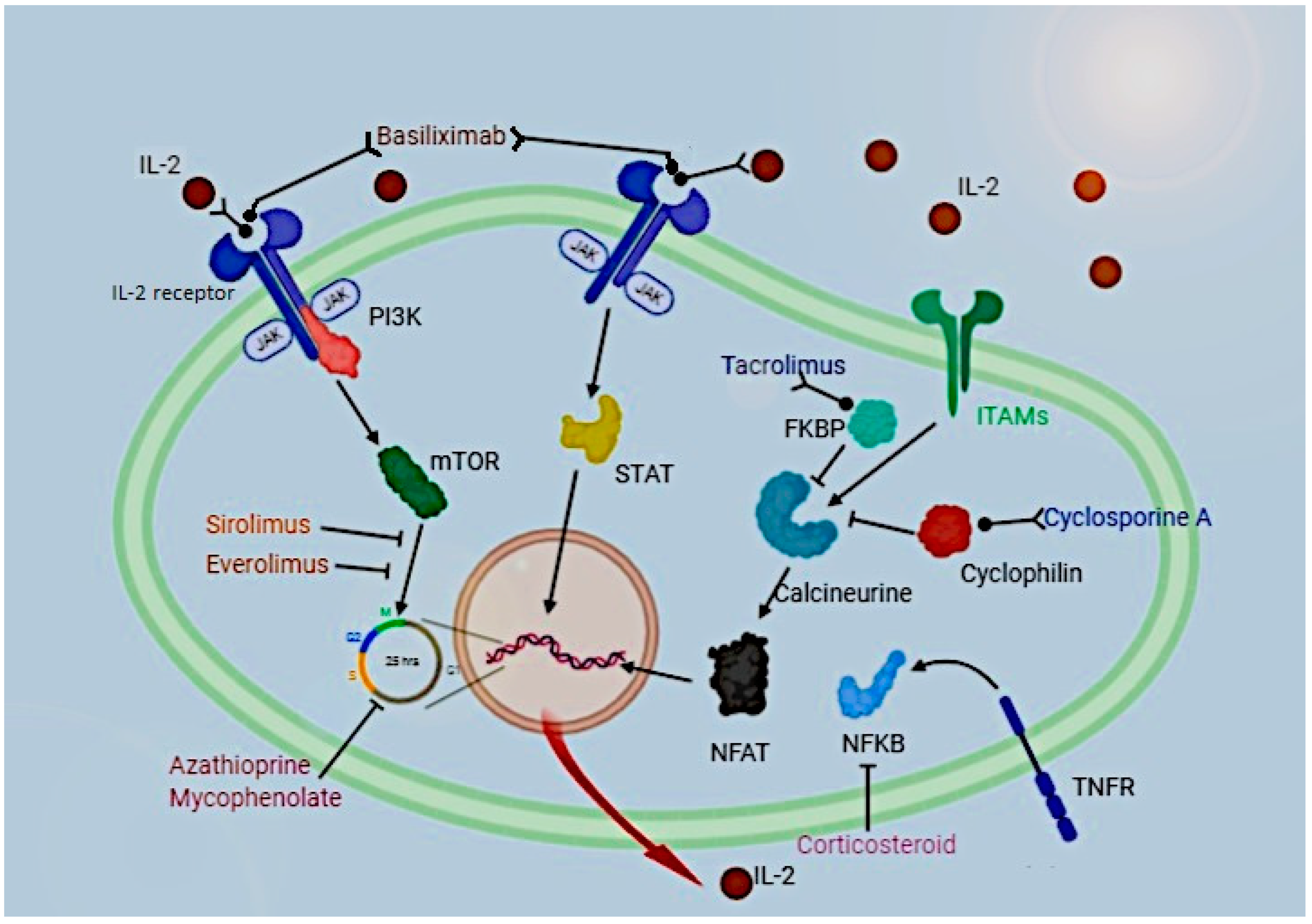 The Future of Drugs: Pharmacogenomics Insights